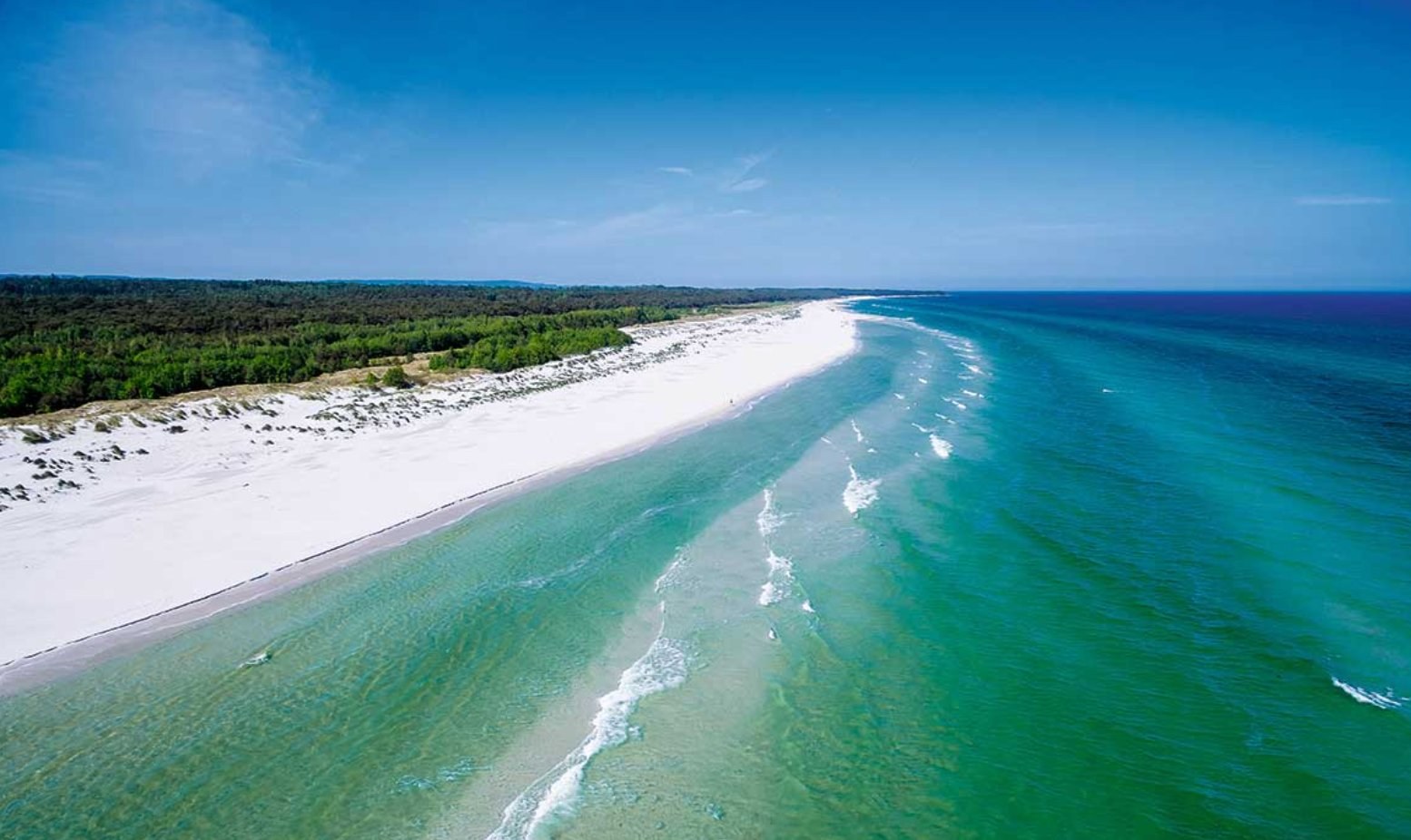 Dueodde — a long white-sand beach on Bornholm's south coast, with turquoise water and pine forest behind the dunes.