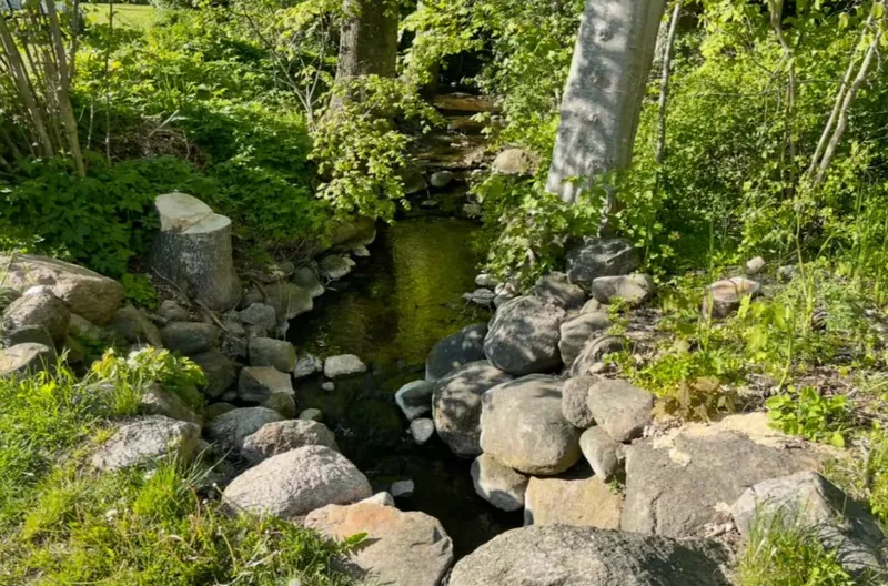 A small brook running between stones, framed by tree trunks and fresh green leaves.