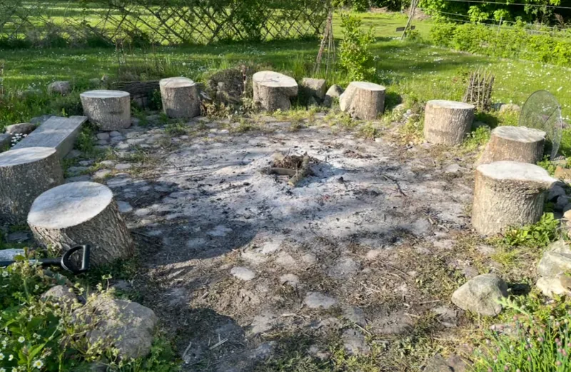 The shared fire pit — a circle of tree-stump seats around a bed of ash in tall summer grass.