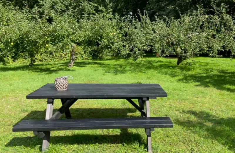 A black-painted garden table in the apple orchard with a woven lantern on top, apple trees behind.